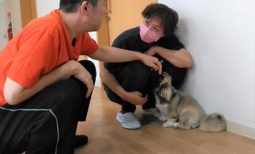 モフモフしたものがあらわれた！